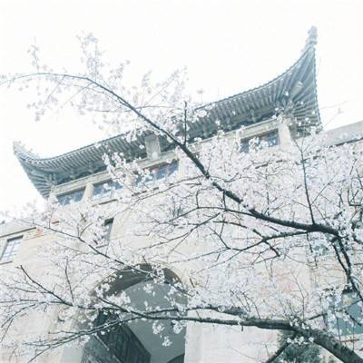李强将出席第十五届夏季达沃斯论坛
