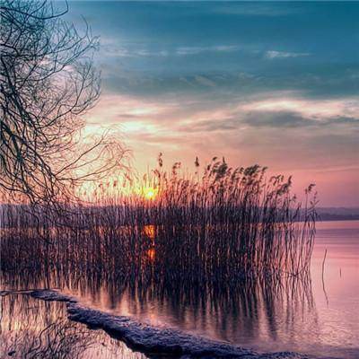 苏打湖：生命的摇篮，地球的“温暖小池塘”